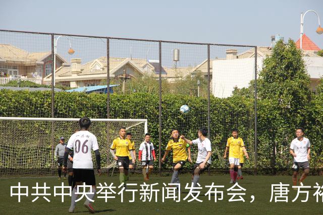 中共中央举行新闻发布会，唐方裕：《决定》的起草是在党中央领导下进行的