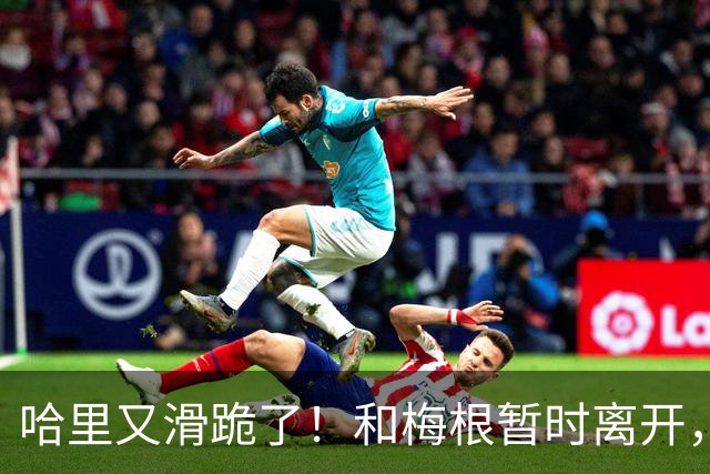 哈里又滑跪了！和梅根暂时离开，不想抢父亲和哥哥的风头