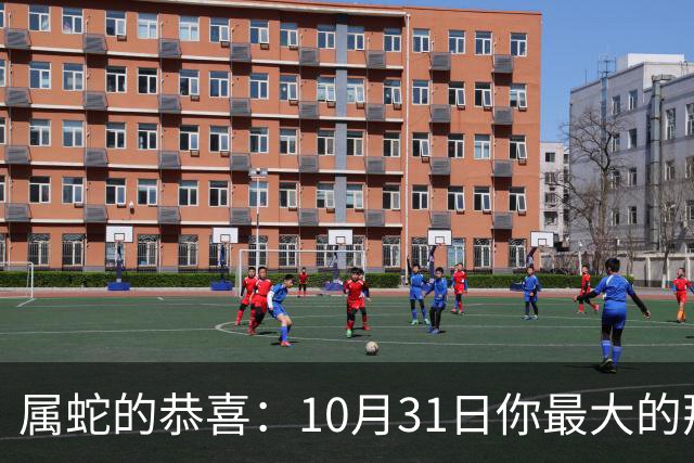 属蛇的恭喜：10月31日你最大的那位贵人，要现身了！