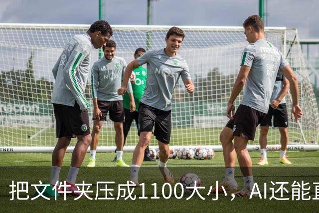 把文件夹压成1/100大小，AI还能直接查