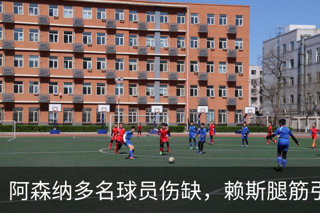 阿森纳多名球员伤缺，赖斯腿筋引担忧，有意追逐布莱顿锋线小将