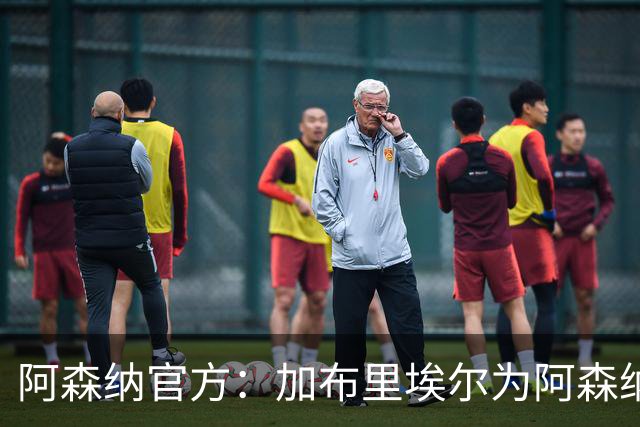 阿森纳官方：加布里埃尔为阿森纳完成200场英超出场